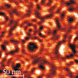 Fig. 1: dI/dV-image exhibiting scattering states of ionized dopants