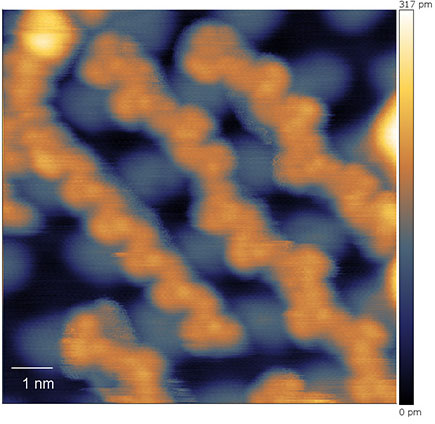 STM image of polymerized 5,5'-dibromosalophenato-cobalt chains on Co-intercalated graphene on superconducting Ir(111).