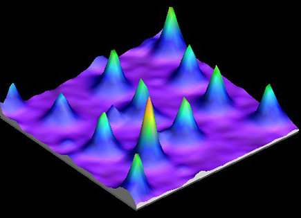 Majorana quasiparticle lattice in an iron-based superconductor