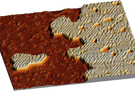 Picture: STM topography of single layer Fe islands on a Ta(110)-surface 