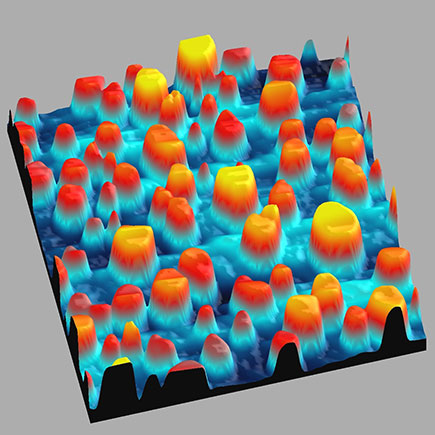 STM topograph of superconducting La islands of different thicknesses