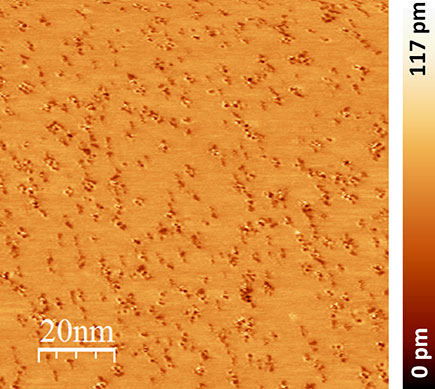 STM topography of a Ta(110) substrate after surface cleaning treatments