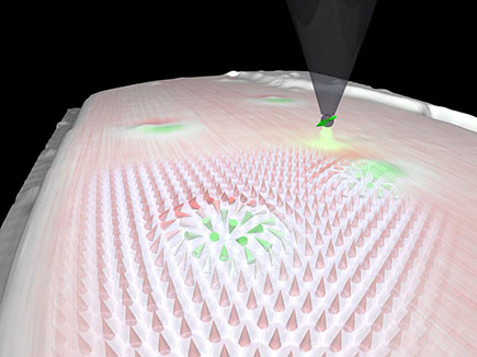 The image shows data from a spin-resolved scanning tunneling microscopy experiment together with a sketch of the sample magnetization.