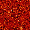 Ringförmige Wellenstrukturen durch an Dotieratomen
       gestreute Elektronen in einem Halbleiterkristall