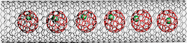 Abb. 1: Wie eine Erbsenschote - metallorganische Moleküle eingesperrt in Kohlenstoff-Nanoröhrchen.