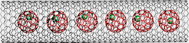 Abb. 1: Wie eine Erbsenschote - metallorganische Molekle eingesperrt in Kohlenstoff-Nanorhrchen.