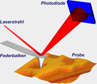 Abb. 2: Funktionsprinzip eines Rasterkraftmikroskops.