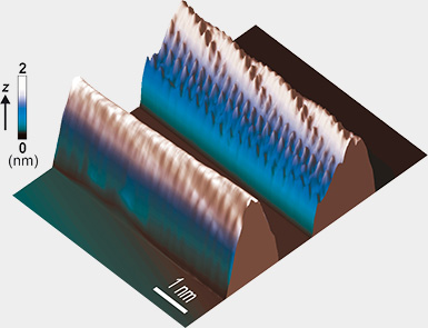 Abb. 3: Oberflchentopographie der „Erbsenschote“ - metallorganische Molekle eingesperrt in Kohlenstoff-Nanorhrchen.