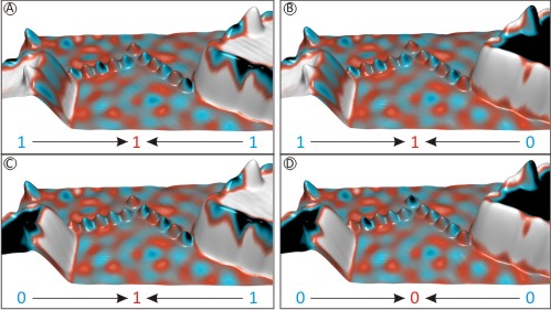 Copyright by M. Menzel, University of Hamburg